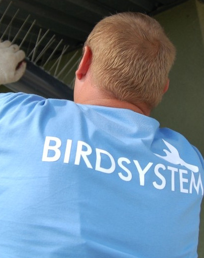 birdsystem